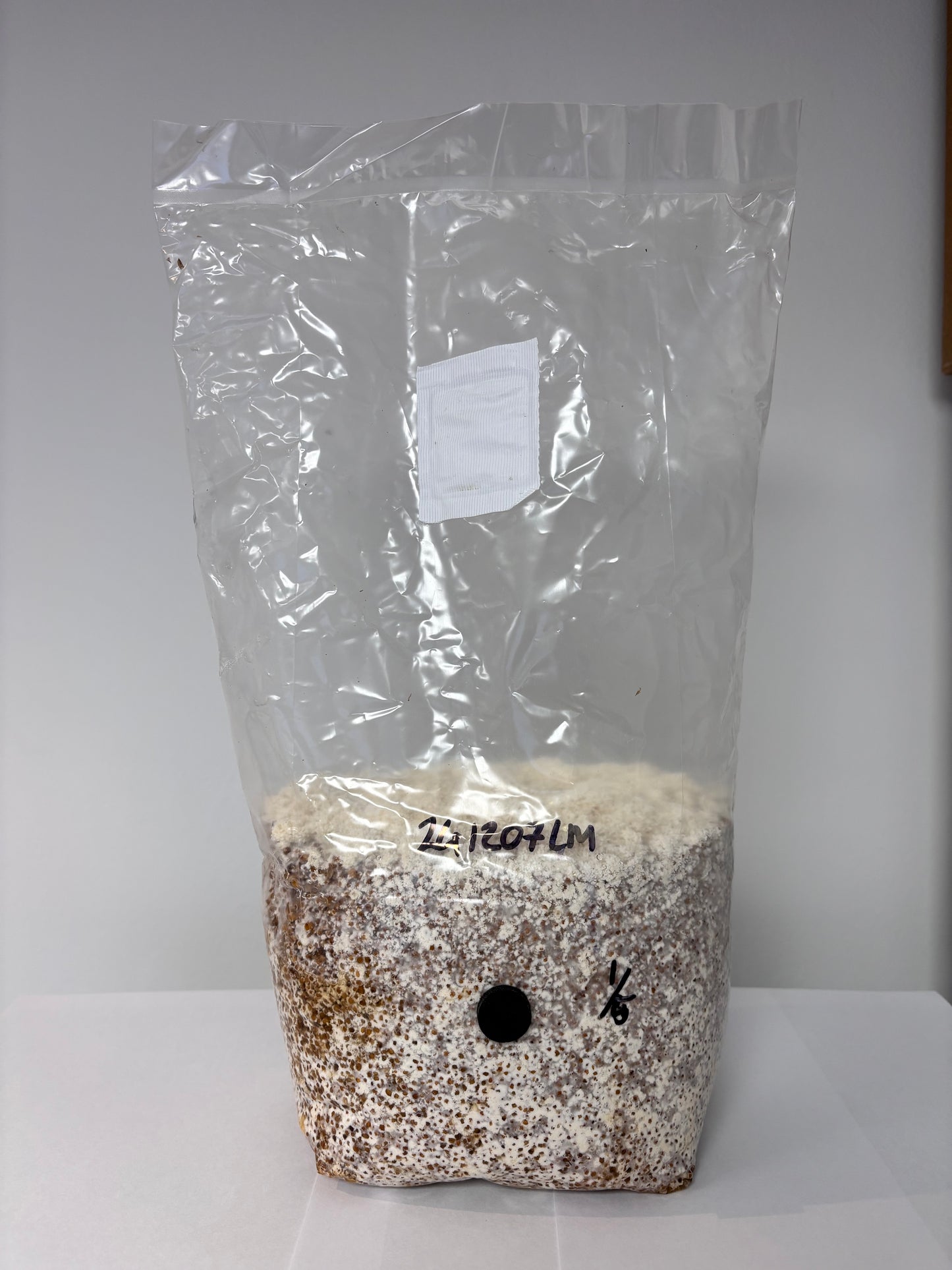 Mushroom Spawn 1.5kg